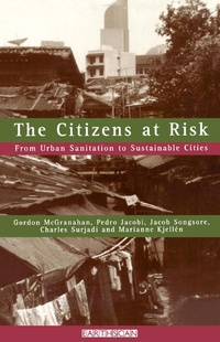 Enlarge image Cover: The Citizens at Risk - Routledge