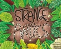Cover: Strange Antics - Matador
