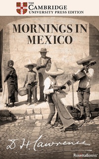Abbildung von: Mornings in Mexico - RosettaBooks