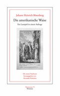 Cover: Die amerikanische Waise - Wehrhahn Verlag