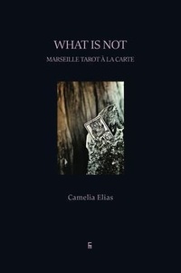 Enlarge image Cover: What is Not - EyeCorner Press