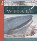 Cover: Big Blue Whale Big Book - Candlewick Press,U.S.