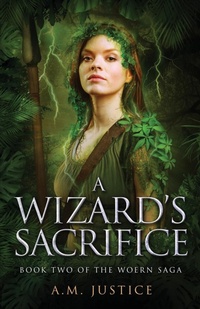 Enlarge image Cover: A Wizard's Sacrifice - WISE INK