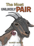 Cover: The Most Unlikely Pair - AUTHORHOUSE