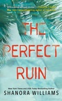 Cover: The Perfect Ruin - Dafina