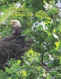 Cover: Study Write Psalms 90 to 106 - Nafco-Inc.