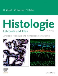 Abbildung von: Histologie - Das Lehrbuch - Urban & Fischer