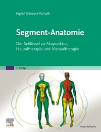 Abbildung von: Segment-Anatomie - Urban & Fischer