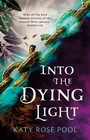 Cover: Into the Dying Light - Orbit