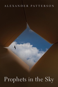 Enlarge image Cover: Prophets in the Sky - Wipf and Stock Publishers