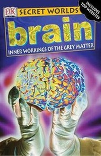Enlarge image Cover: Brain - DK Publishing (Dorling Kindersley)