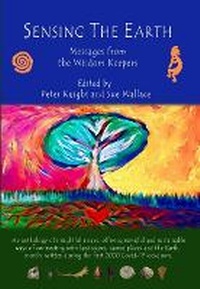Enlarge image Cover: Sensing the Earth - Stone Seeker Publishing