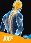 Cover: The Human Body - BookLife Publishing