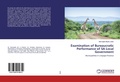 Bild: Examination of Bureaucratic Performance of SA Local Government - LAP Lambert Academic Publishing