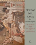 Cover: Perino del Vaga for Michelangelo - Officina Libraria