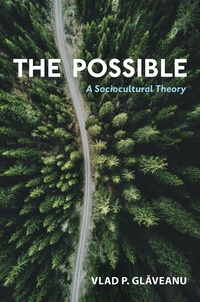 Abbildung von: The Possible - OUP eBook