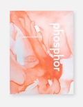 Cover: Natascha Schmitten - Phosphor - GRASS PUBLISHERS