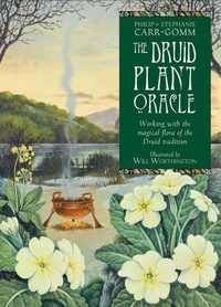 Enlarge image Cover: The Druid Plant Oracle - Red Wheel