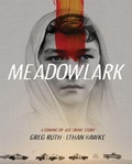 Cover: Meadowlark - Grand Central Publishing