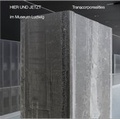 Cover: Hier und Jetzt / Here and Now" im Museum Ludwig" Transcorporealities - K&ouml;nig, Walther