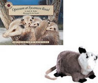 Enlarge image Cover: Opossum at Sycamore Road - Palm Publishing