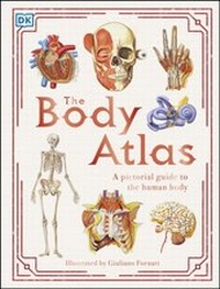 Abbildung von: The Body Atlas - DK Children