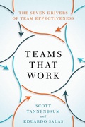 Cover: Teams That Work - OUP eBook