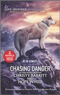 Cover: Chasing Danger - Harlequin