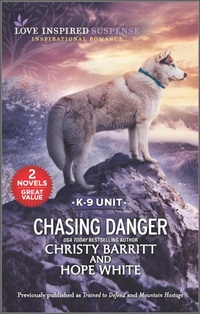 Enlarge image Cover: Chasing Danger - Harlequin