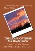 Cover: The Least of These My Brothers - RosettaBooks