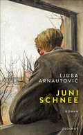 Cover: Junischnee - Zsolnay