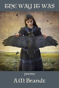 Cover: The Way it Was - Kelsay Books