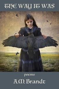 Enlarge image Cover: The Way it Was - Kelsay Books