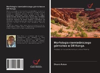 Abbildung von: Morfologia rzemieslniczego gornictwa w DR Konga. - Wydawnictwo Nasza Wiedza