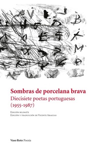Abbildung von: Sombras de porcelana brava - Vaso Roto Ediciones S.L