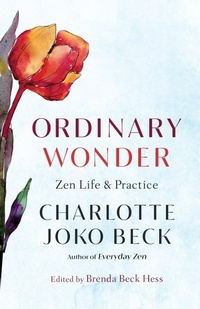 Enlarge image Cover: Ordinary Wonder - Shambhala Publications Inc