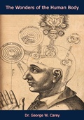 Cover: Wonders of the Human Body - Barakaldo Books