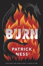 Cover: Burn - Collins