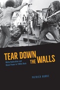 Cover: Tear Down the Walls - University of Chicago Press