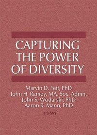 Enlarge image Cover: Capturing the Power of Diversity - Routledge