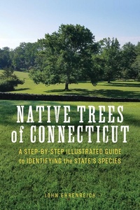 Abbildung von: Native Trees of Connecticut - Globe Pequot Press