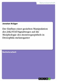 Abbildung von: Der Einfluss einer gezielten Manipulation des JAK/STAT-Signalweges auf die Morphologie des Atemwegsepithels in Drosophila melanogaster - GRIN Verlag