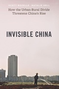 Abbildung von: Invisible China - University of Chicago Press