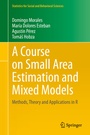Cover: A Course on Small Area Estimation and Mixed Models - Springer