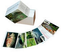 Enlarge image Cover: Lernkarten - Heintges Lehr- und Lernsystem GmbH