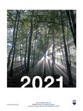 Cover: Paula De Lemos - 2021 - Maisenbacher Medien