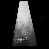 Enlarge image Cover: Erector (Legacy Re-Issue) - 375 Media GmbH