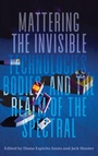 Cover: Mattering the Invisible - Berghahn Books