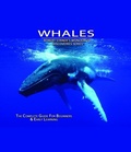Cover: Whales - Wonderful World