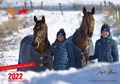 Cover: Ingrid Klimke Kalender 2022 - Kosmos